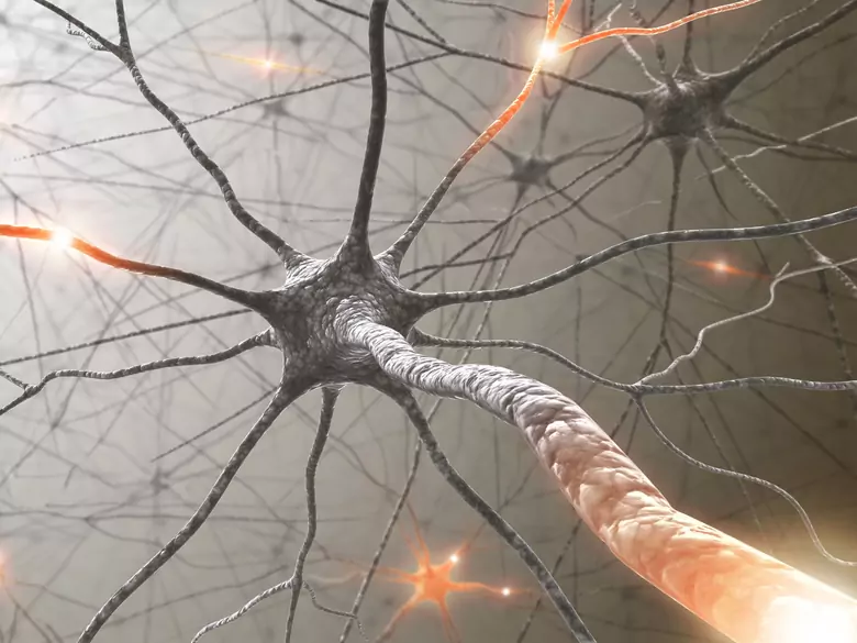 Podział chorób neurologicznych