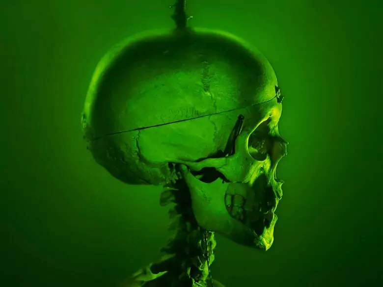 Za co odpowiada prawa a za co lewa półkula mózgu?