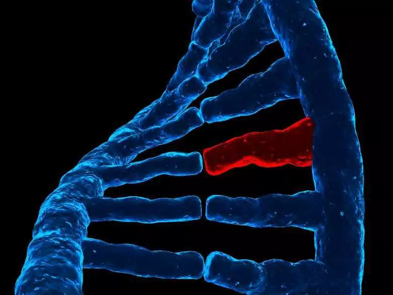 Choroby rzadkie występują często, a diagnoza i leczenie to duży problem