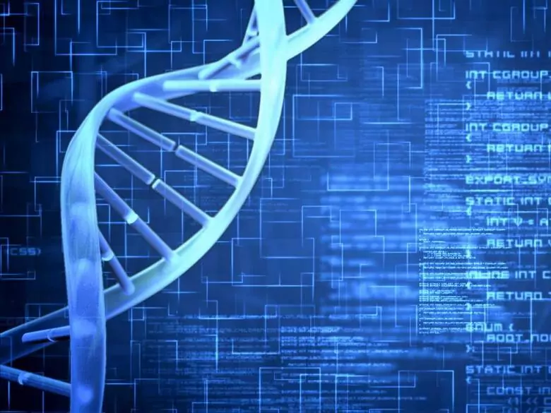 Choroba Canavana – gąbczaste zwyrodnienie układu nerwowego