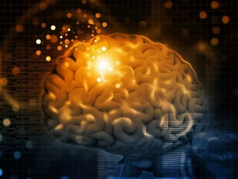 Czy każda decyzja zostawia ślad w mózgu?