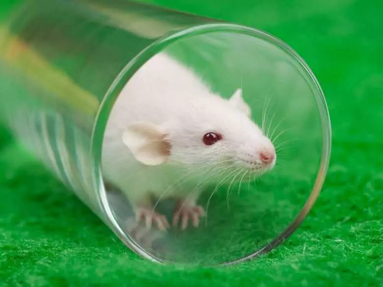 Choroba Parkinsona: czy pacjentom może pomagać... suplementacja estrogenów?