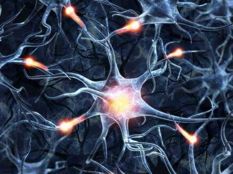 Czy komórki macierzyste mogą leczyć?