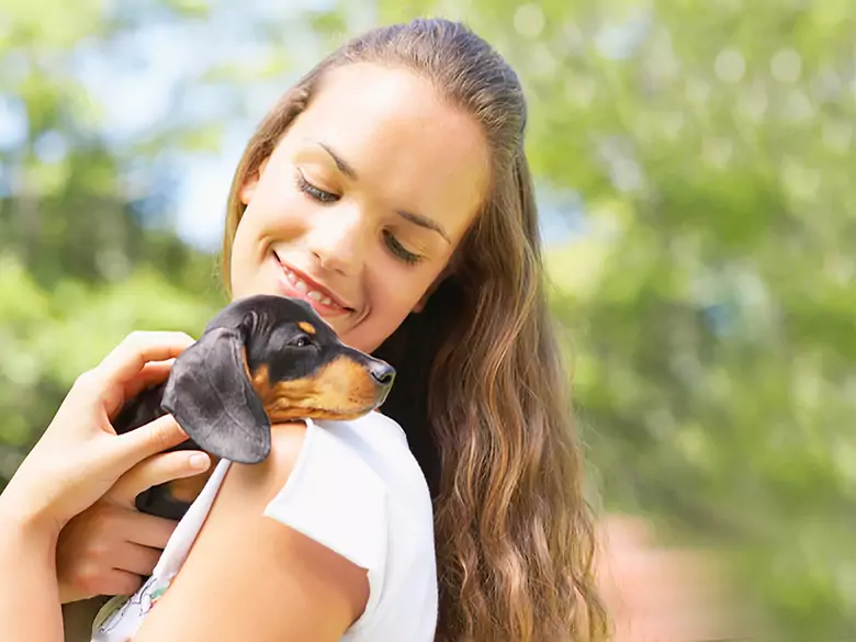 Odpowiedzialność za szkody wyrządzane przez zwierzęta
